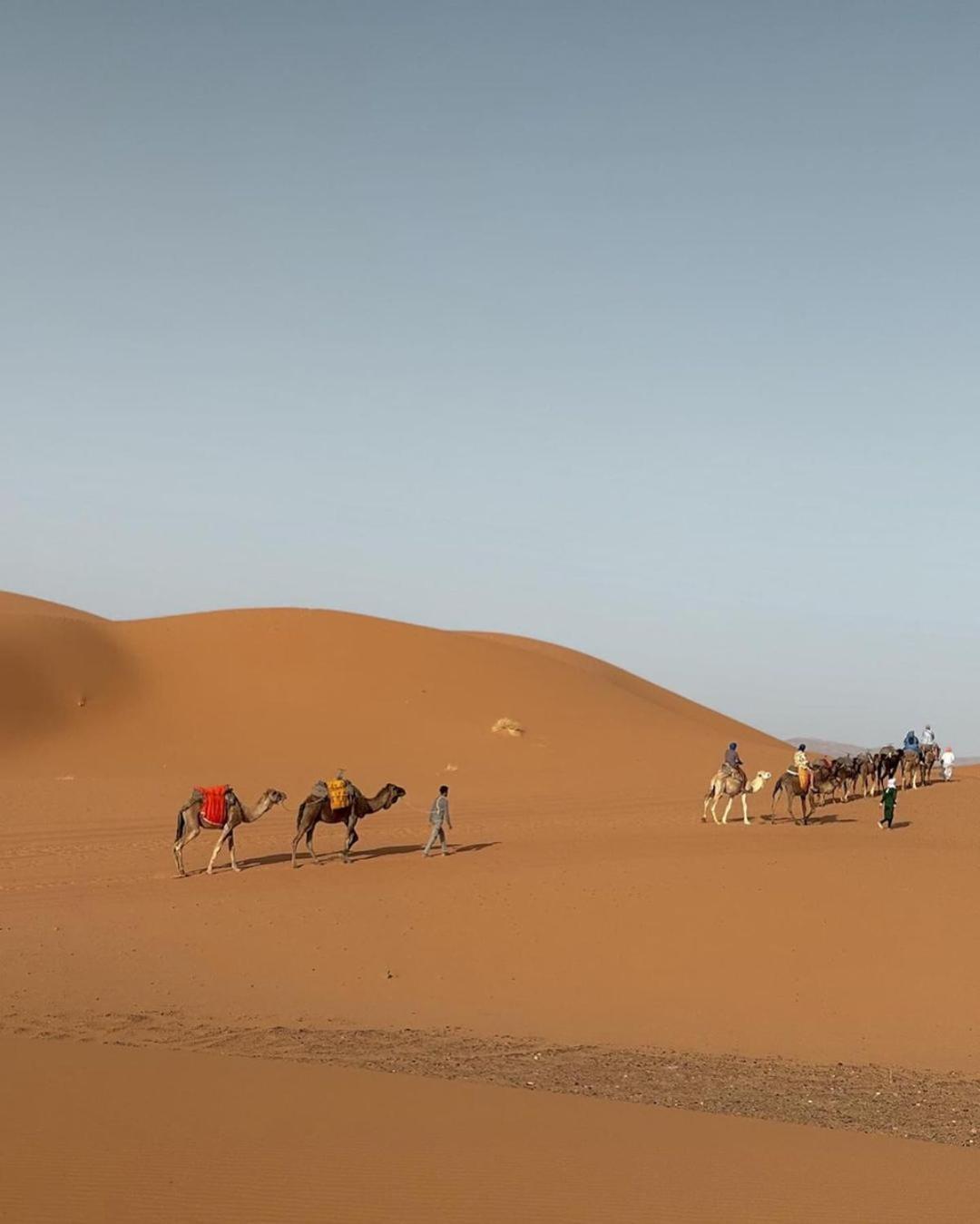 Tente de luxe Dunes Camp 4*